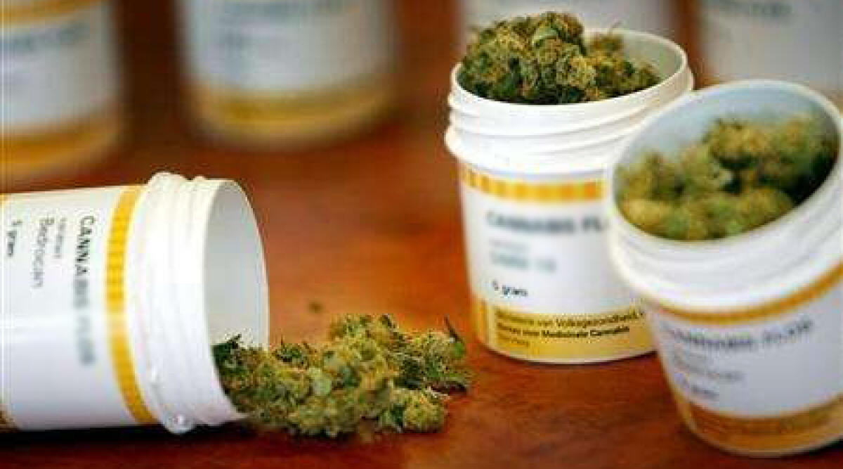 I cannabinoidi contro l&rsquo;ictus, il male che ogni anno registra a Rimini 660 casi - 