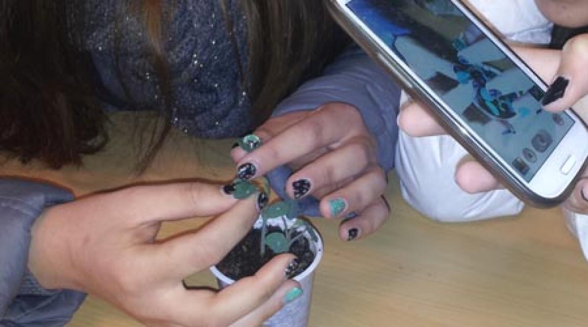 Dalla Sicilia a Rimini, studenti a Italia in Miniatura per parlare di nano tecnologie -