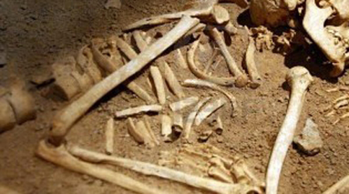 Trovate ossa umane in un pozzo di Ginestreto, ai confini con il riminese -