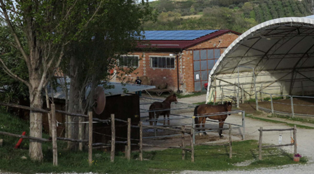 Montescudo: caduta da cavallo, tanto spavento e lievi ferite -