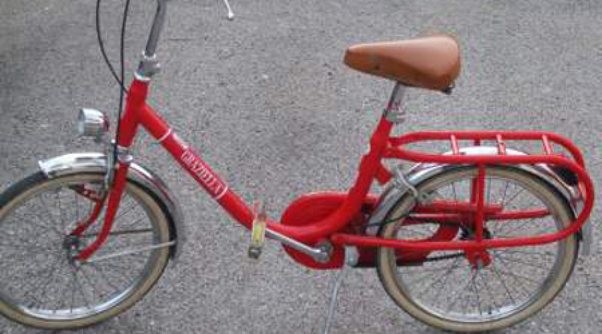 Coast to coast da record con una bici Graziella, l'arrivo a Rimini -
