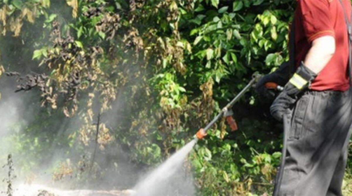 Video: Novafeltria, incendio alle scuole innescato da piumini di pioppo - 