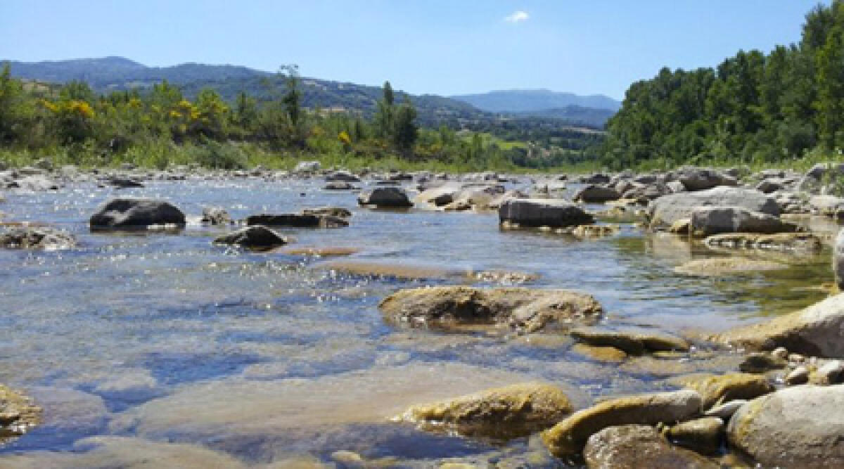 Alghe verdi nel Fiume Marecchia, Arpa rassicura: caratteristiche del periodo, non sono dannose - 