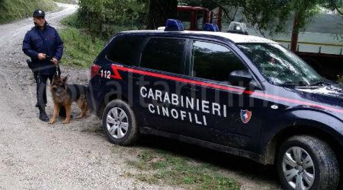 Scomparsa Guerrina Piscaglia, il marito a 'Chi l'ha visto': 'mai litigato con lei' - 