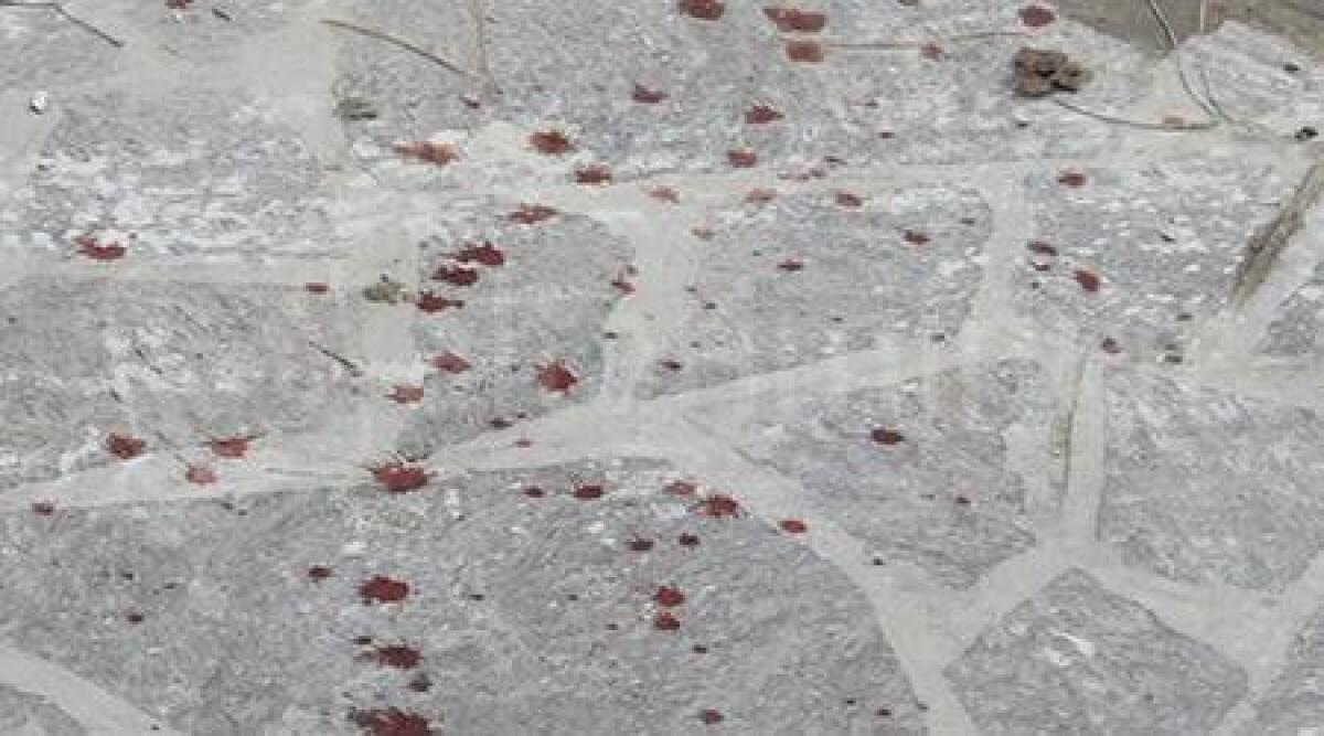 Video, esclusiva: fidanzati accoltellati per gelosia in pieno giorno, le testimonianze - 