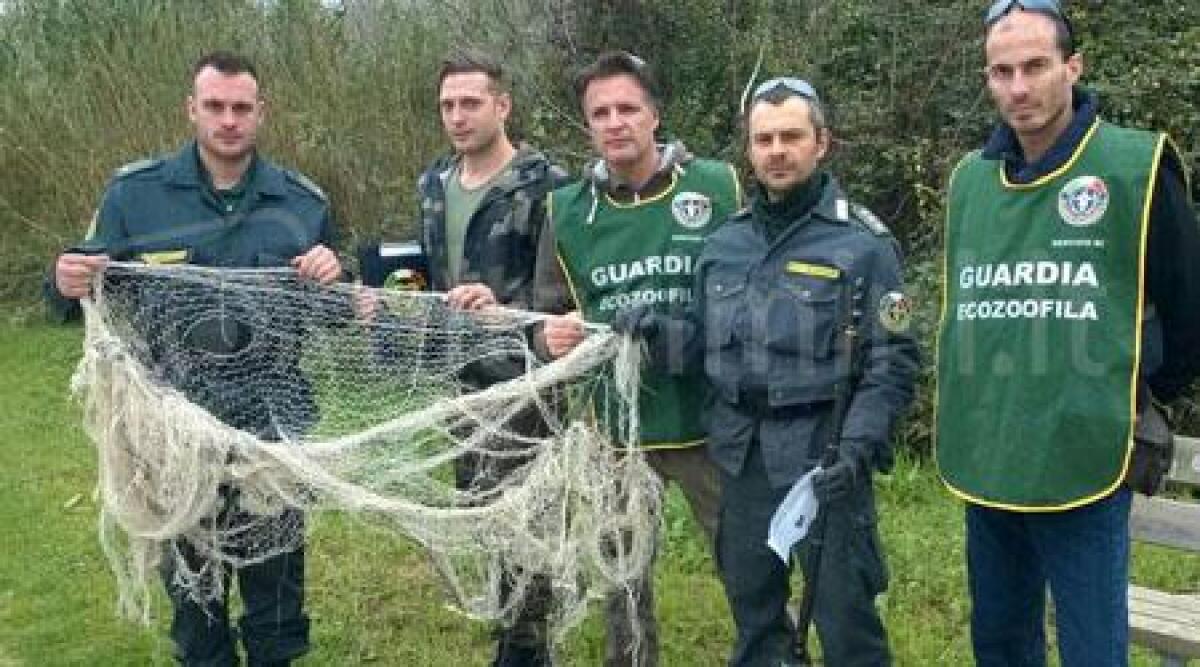 Multa salata per un uomo sorpreso a pescare nel fiume Conca a Misano - 