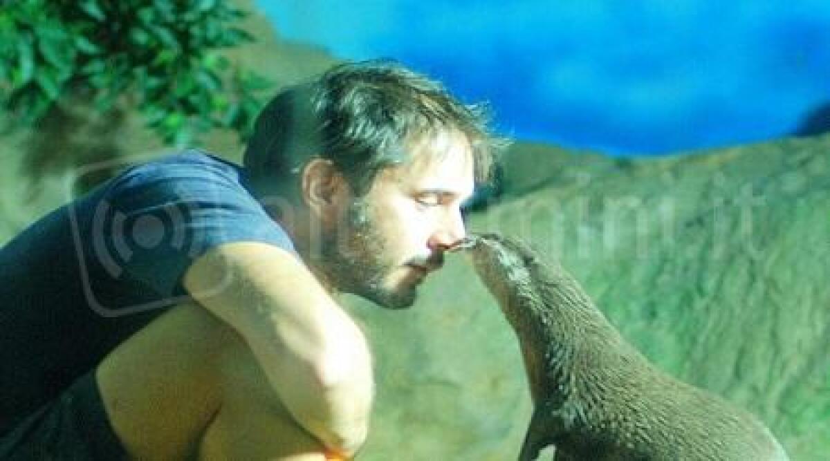 Rai 2 all'Acquario di Cattolica e Oltremare di Riccione tra rapaci, lontre e squali - 
