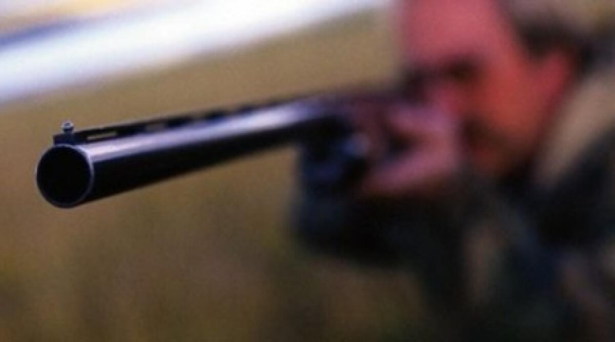 Spara in casa al ladro: riminese condannato, deve anche risarcire il malvivente - 
