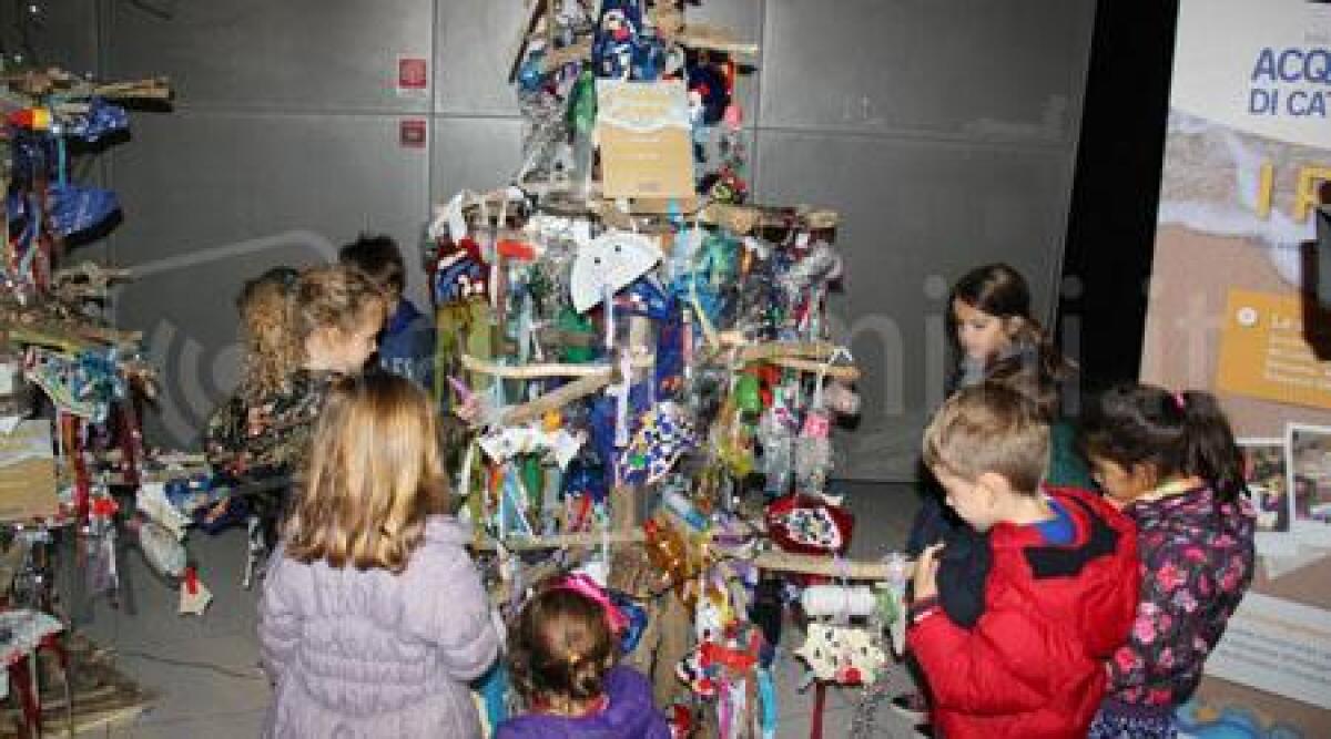 Presepi e alberi con materiale di riciclo, ecco il Natale dell'Acquario di Cattolica - 