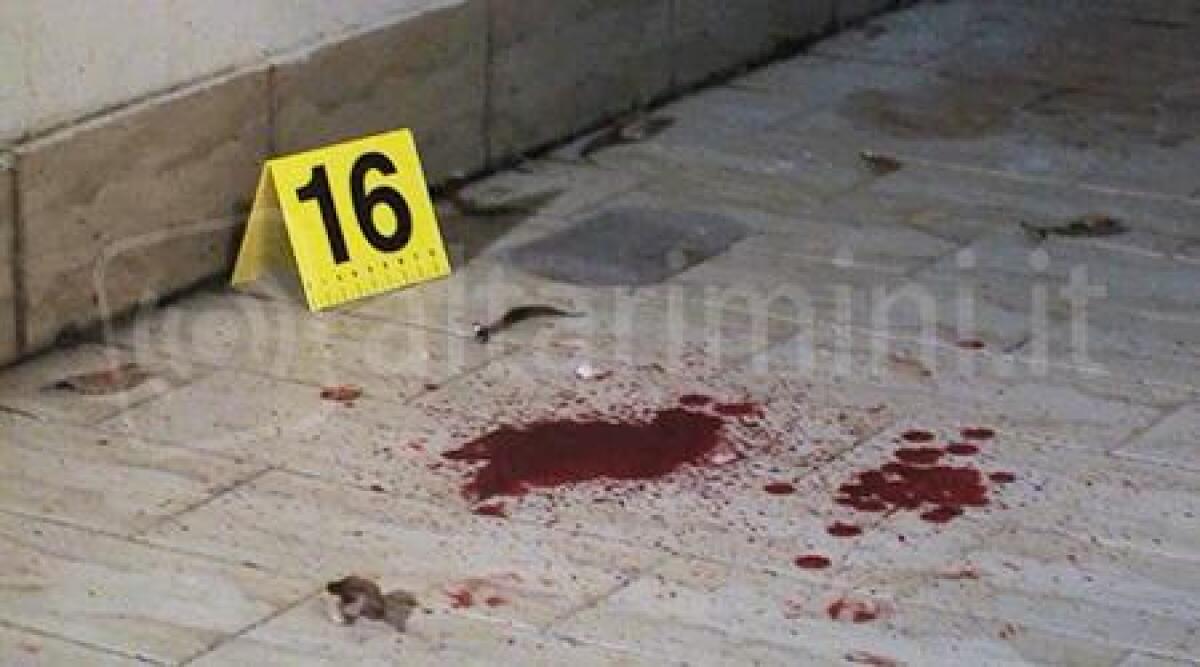 Video: lite dopo cena di Natale a colpi di coltello, arrestata donna per tentato omicidio - 