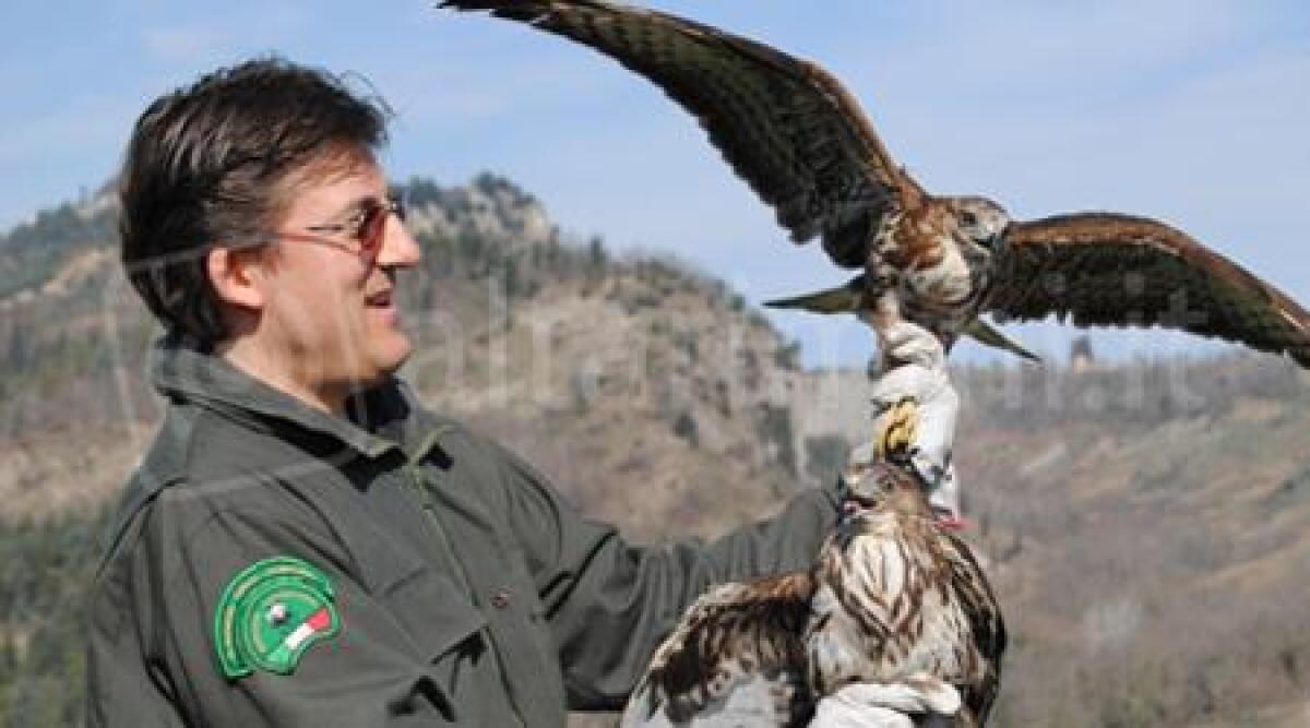 Rimini, chiude centro recupero di animali selvatici dopo 25 anni: sconcerto del Wwf -