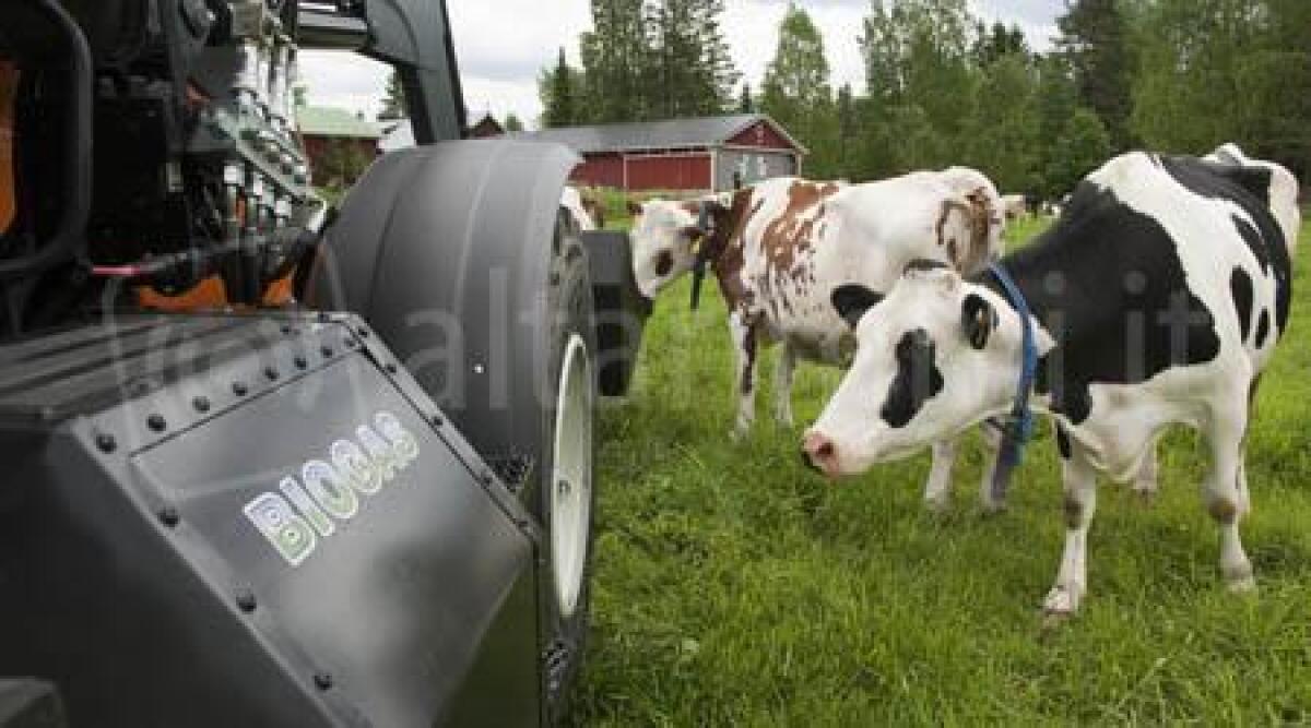 Ricavare energia dai resti animali: il biogas, se ne parla in convegno a San Leo -