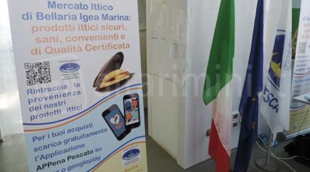 Bellaria lancia l'app per l'acquisto sicuro del pesce e per ordini on-line - 