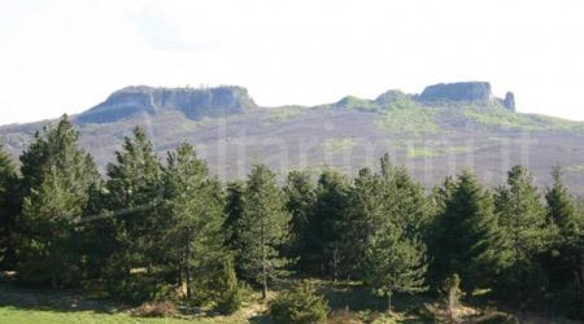 Pennabilli approva piani di tutela dei boschi Monte Simoncello, Soanne e Scavolino - 