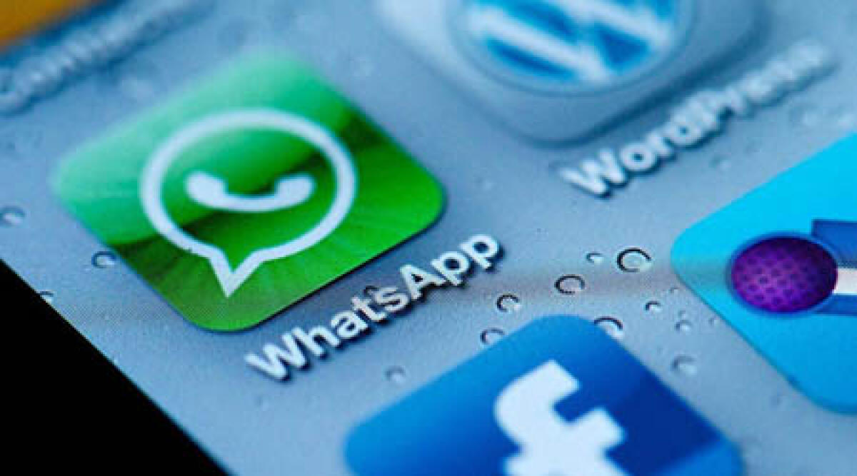 Tecnologia in aiuto delle guardie ecozoofile: numero WhatsApp per segnalazioni - 