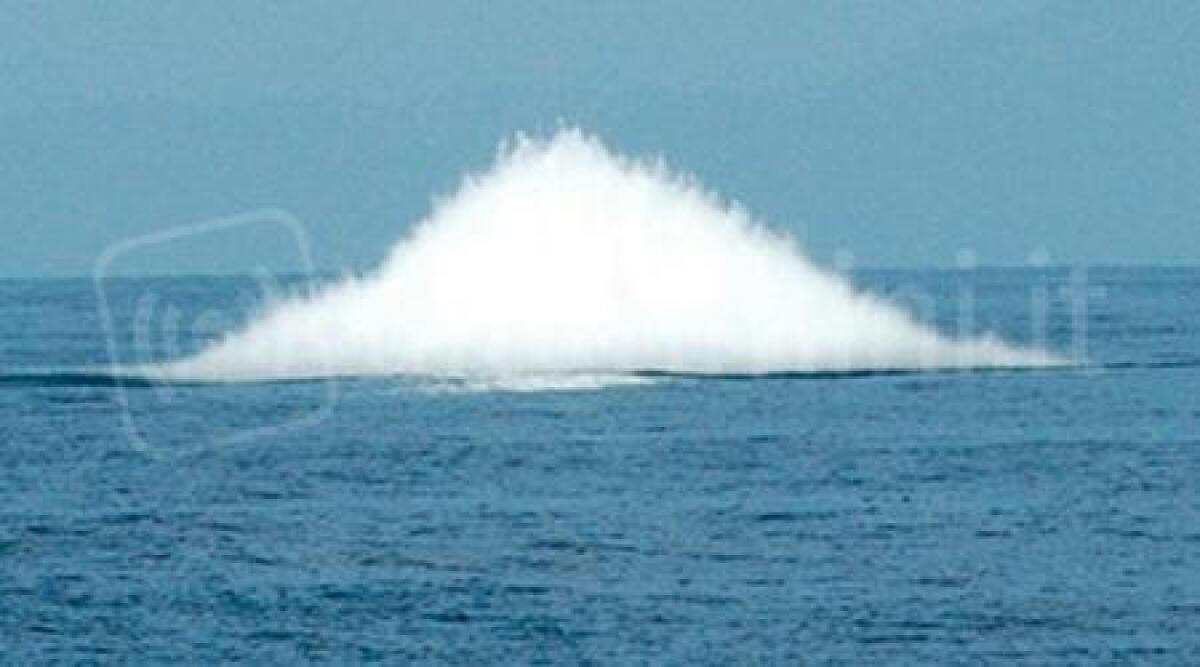 Bomba sotto il mare vicino la spiaggia di Gabicce fatta brillare dalla marina militare - 