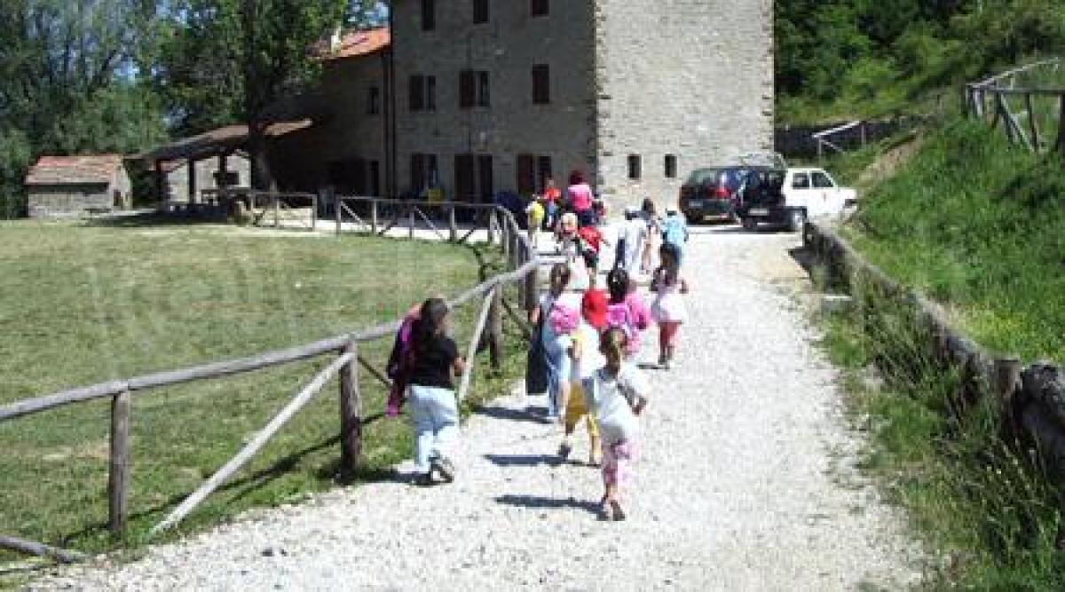I bimbi delle scuole di Rimini in Toscana, soggiorno per conoscere la natura - 
