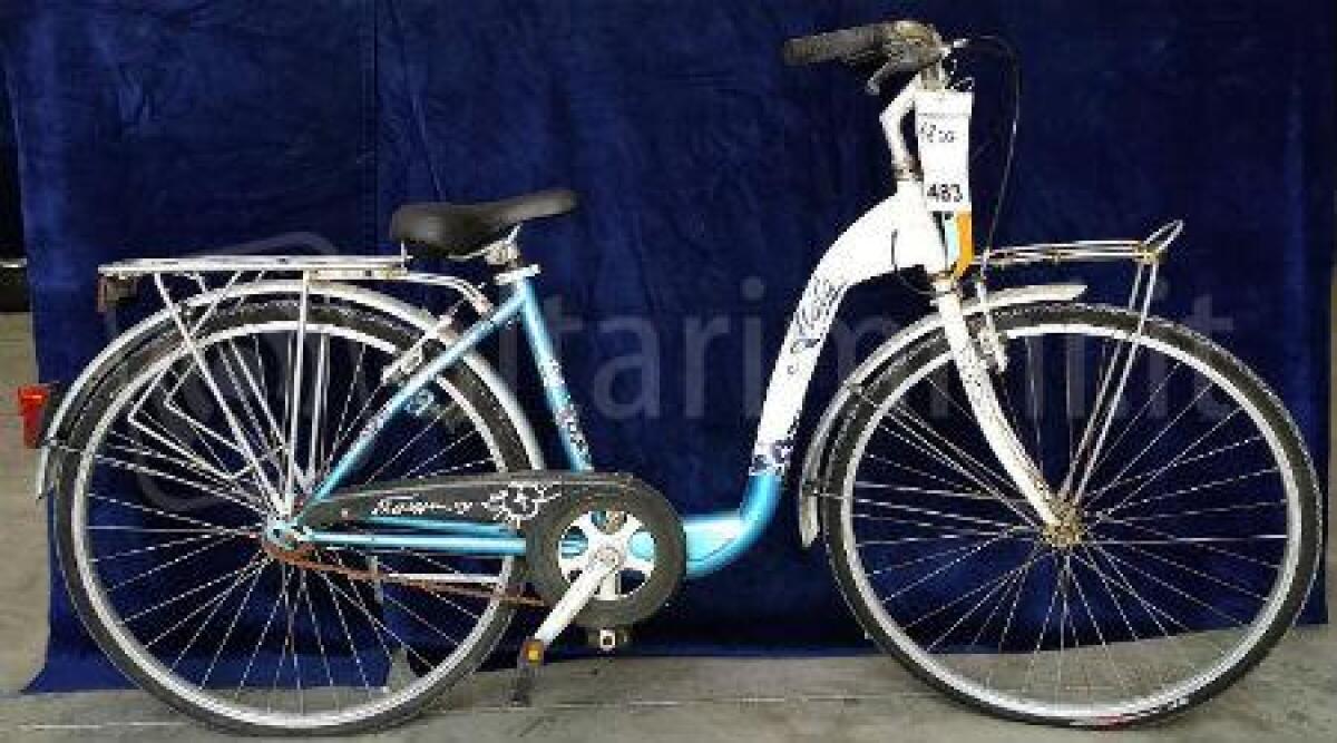 Rimini, asta oggetti rinvenuti,  32 biciclette da assegnare - 