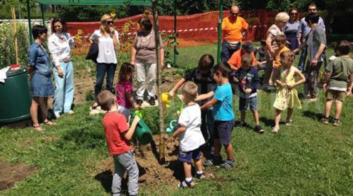 Riccione, un melo piantato all'asilo Bertazzoni per ricordare il piccolo Nicol&ograve; - 