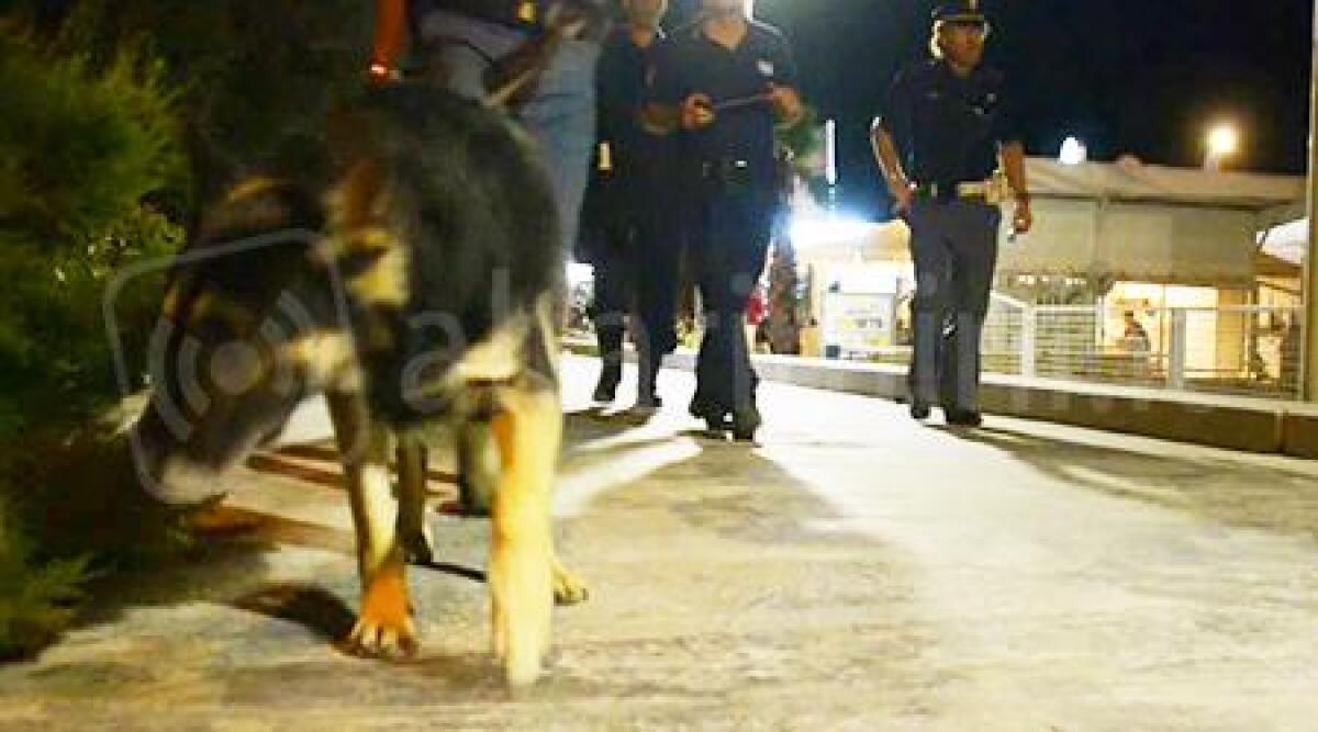 Video: sedicenne morto per ecstasy, Riviera blindata. Maxi controlli su strade e locali - 