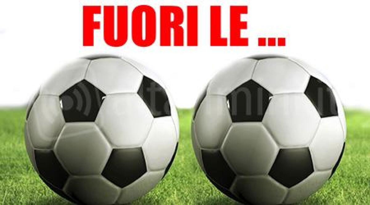 "Fuori le...": al via la campagna abbonamenti del Rimini Calcio per la stagione 2015/2016 - 
