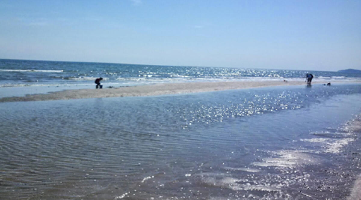 Il Comune di Rimini precisa: le acque del canale di Torre Pedrera sono eccellenti - 