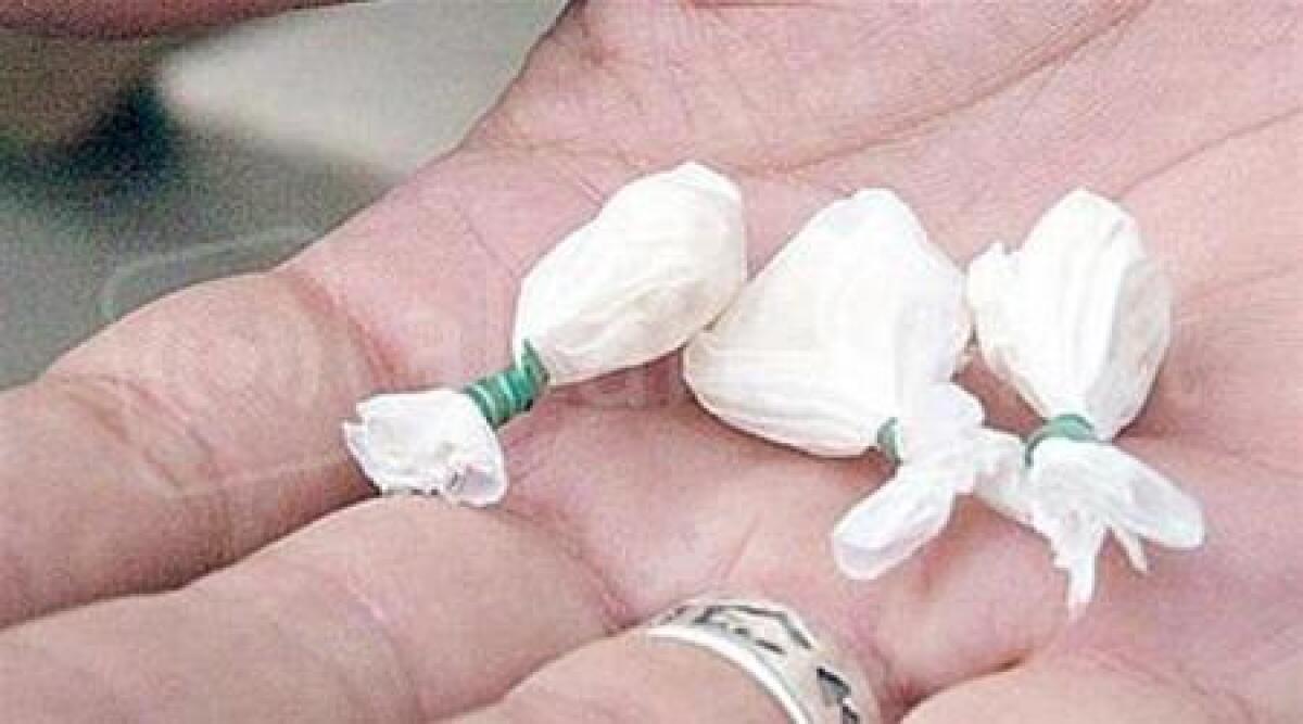 Operaio di Cattolica trovato con cocaina in casa: 'mi serve per sopportare turno notturno' - 