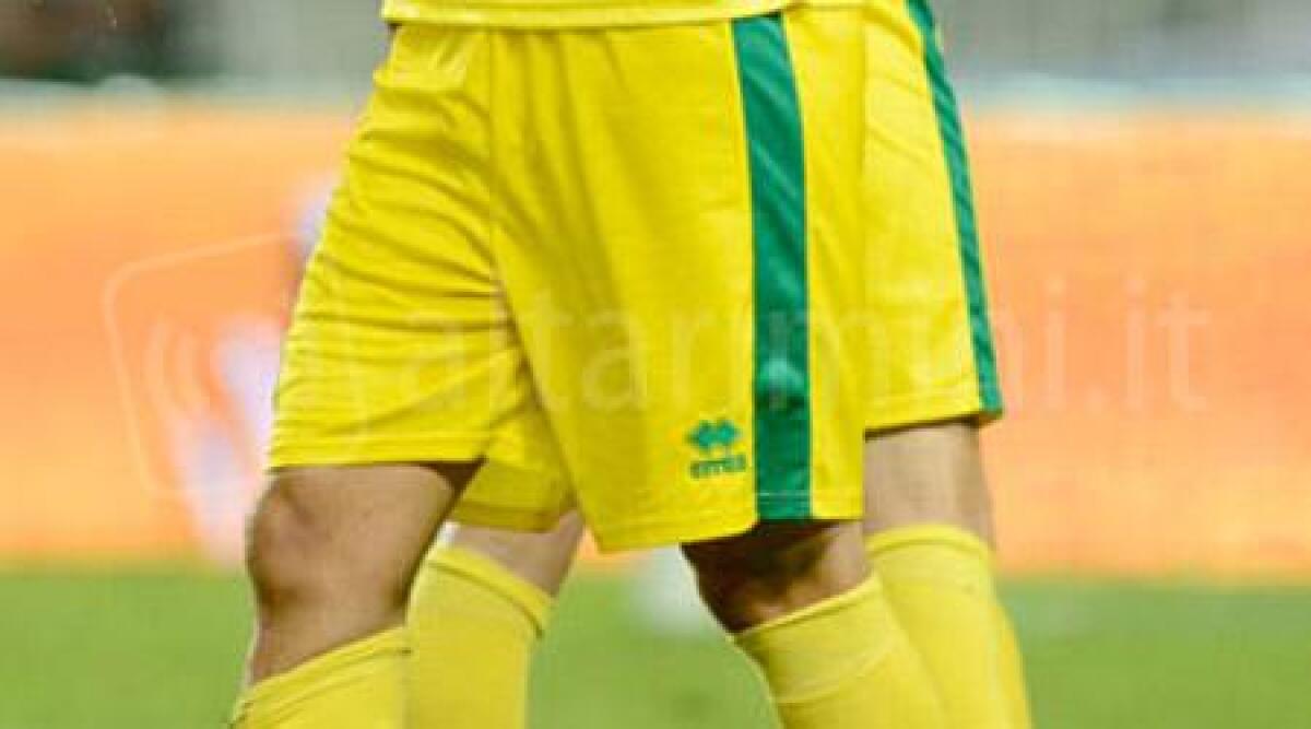 Calcio Prom: Sant'Ermete, Succi si dimette. Thomas Zagnoli nuovo allenatore -