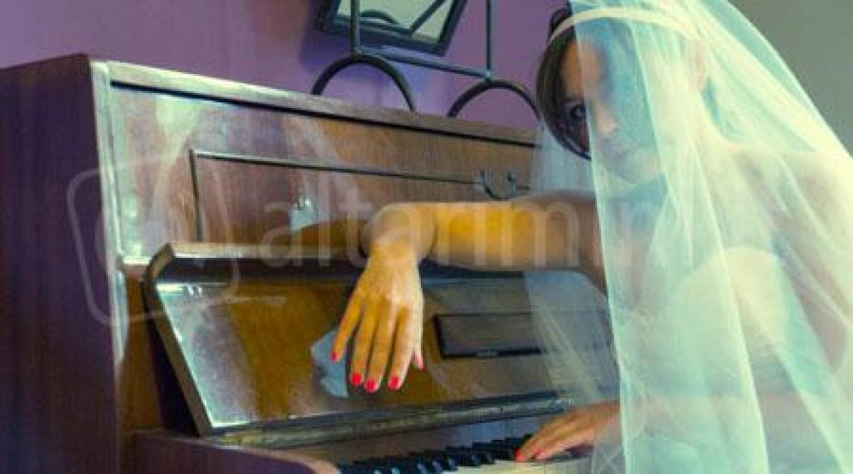 Rimini a tutto jazz, sei concerti al Belleville: si inizia con omaggio a Billie Holiday -