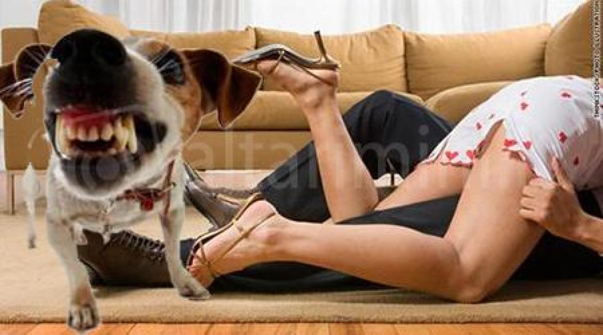 Troppo caos durante il sesso, sentita la vicina: 'pi&ugrave; che orgasmi hanno cane rumoroso' - 