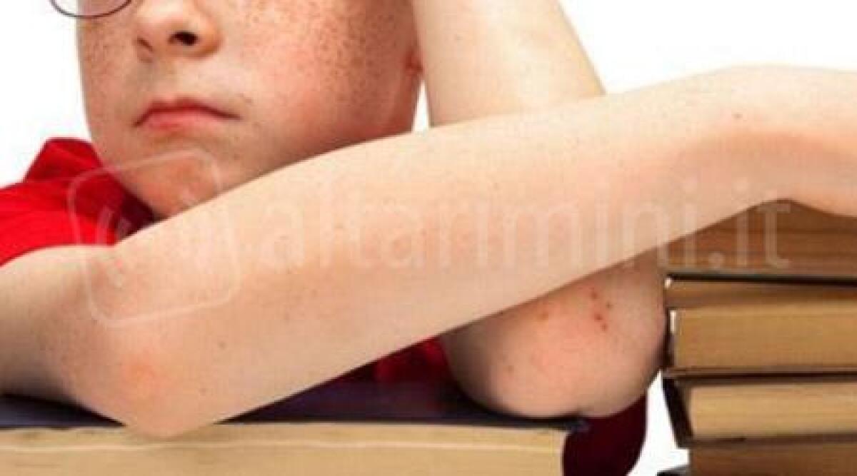 Inattuata legge tutela scolari con disturbi di apprendimento, se ne parla anche a Rimini -