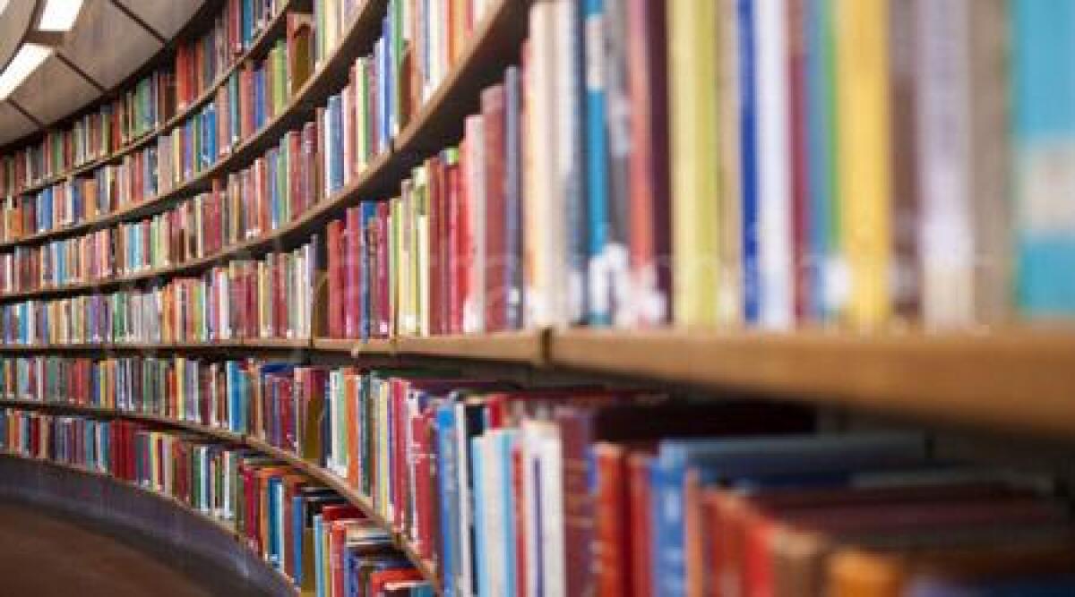 Alessandra Grisendi &egrave; il nuovo direttore della biblioteca e dei musei di Riccione - 