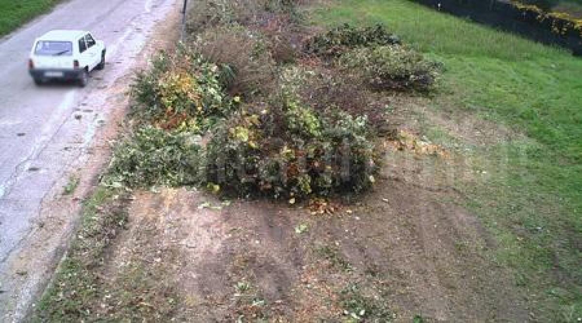 Rifiuti gettati nelle aree verdi, gli sporcaccioni di Misano inchiodati dalle 'foto trappole' - 