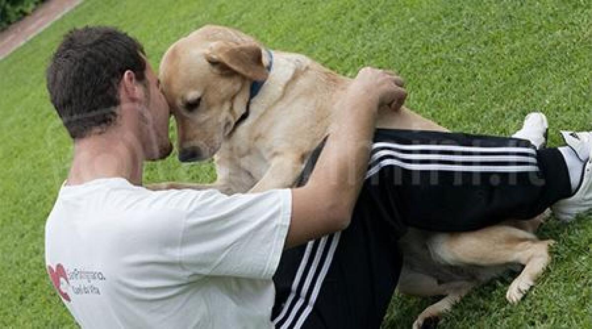 Il benessere del cane: San Patrignano con il medico veterinario esperto europeo - 