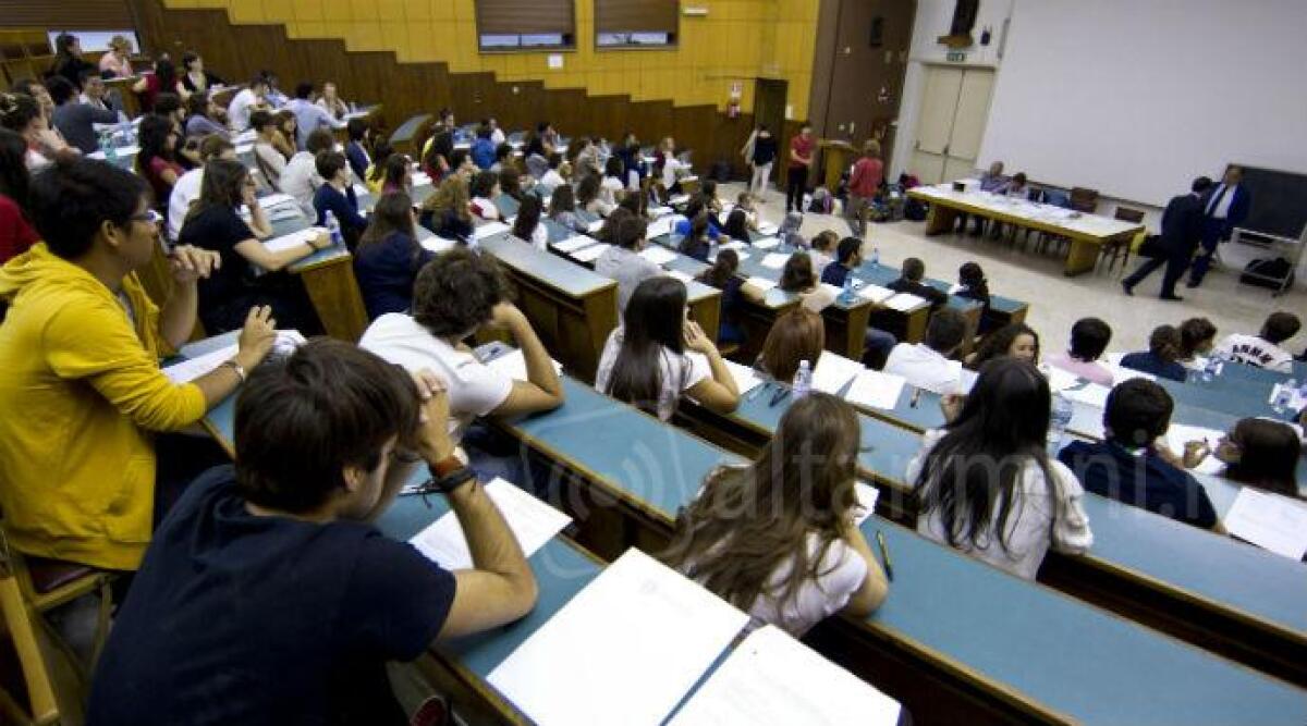 Università di Bologna, immatricolazioni in aumento anche a Rimini -