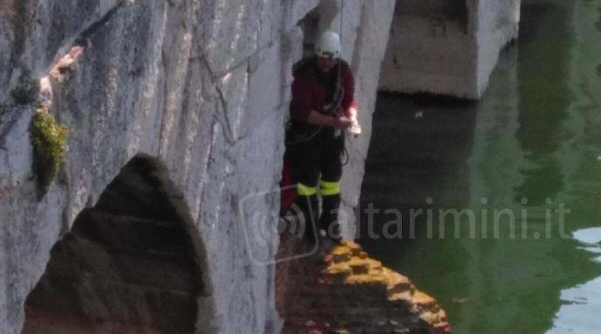 Ponte di Tiberio chiuso per alcuni minuti, Vigili del Fuoco liberano gatto prigioniero sotto l'arcata - 