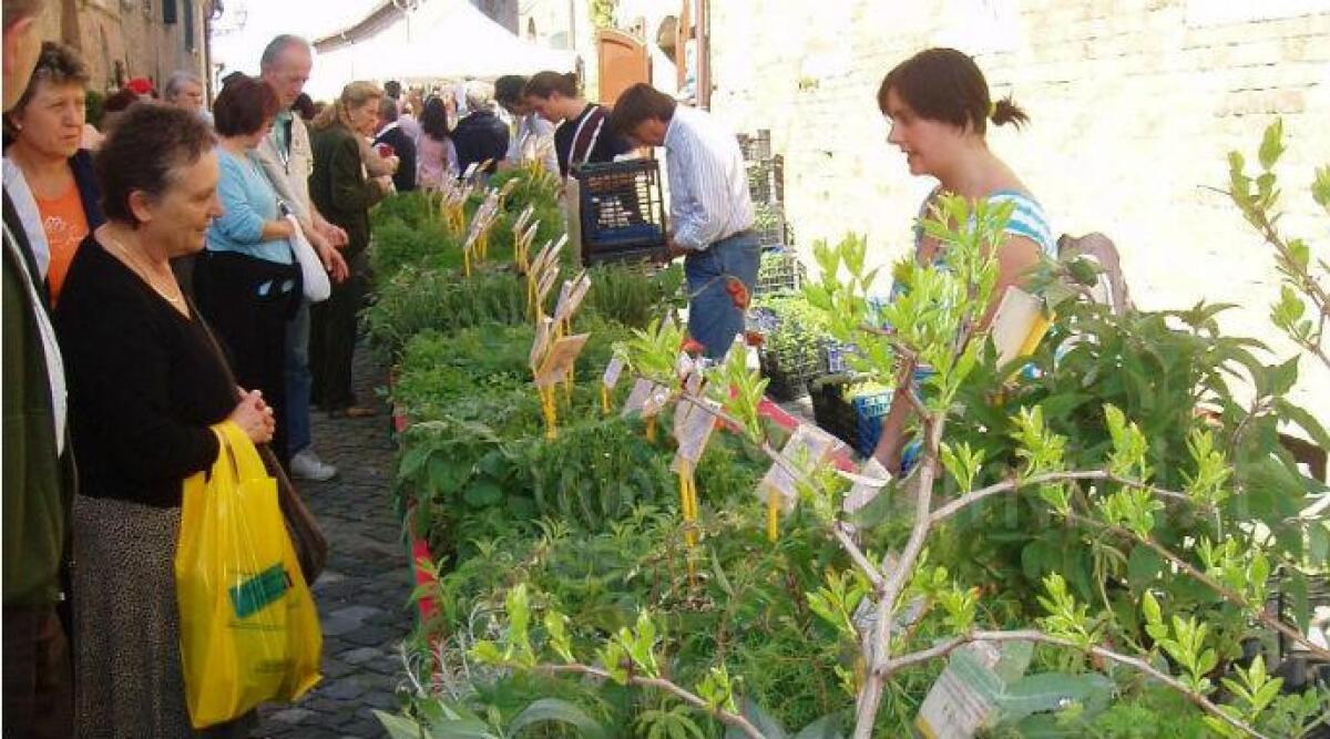 Il cuore verde di Saludecio protagonista con Saluserbe, tre giorni di festa green -