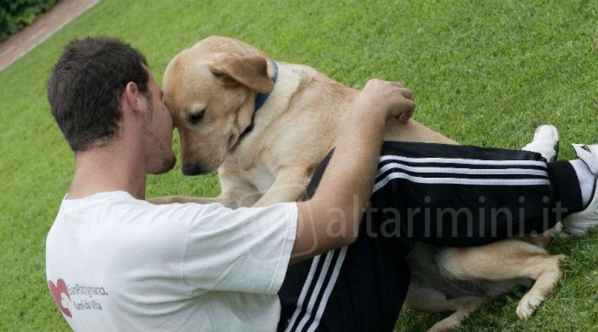 Pet therapy a San Patrignano, arrivano tre corsi di formazione per "interventi con animale" -