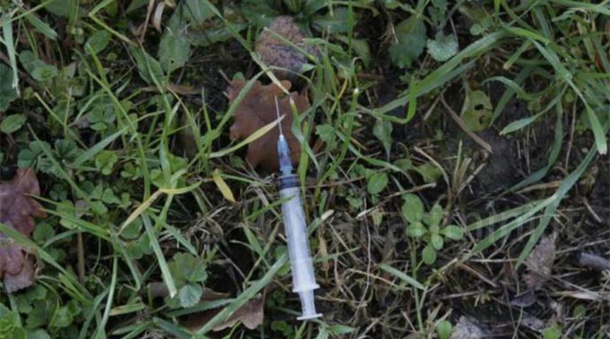 Operaio si punge con una siringa infetta nascosta tra gli arbusti. Denunciato l'ex datore di lavoro - 