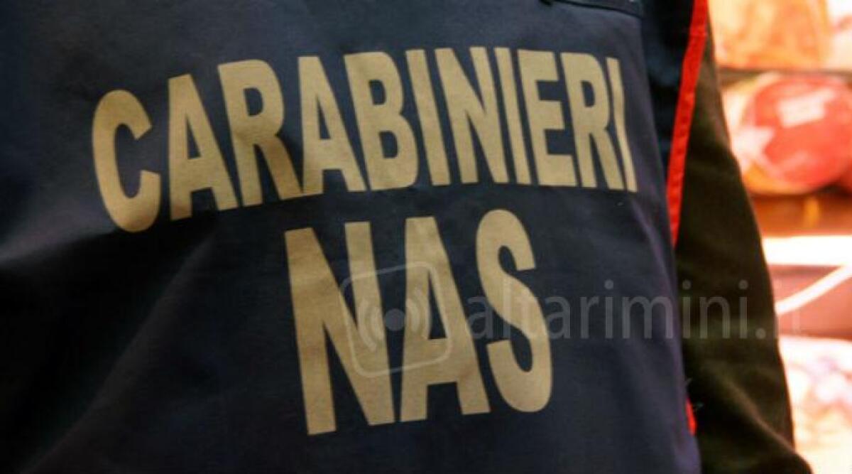 Cibo scaduto e parassiti, controlli dei Nas in regione, ispezionate 12 attivit&agrave; a Rimini - 