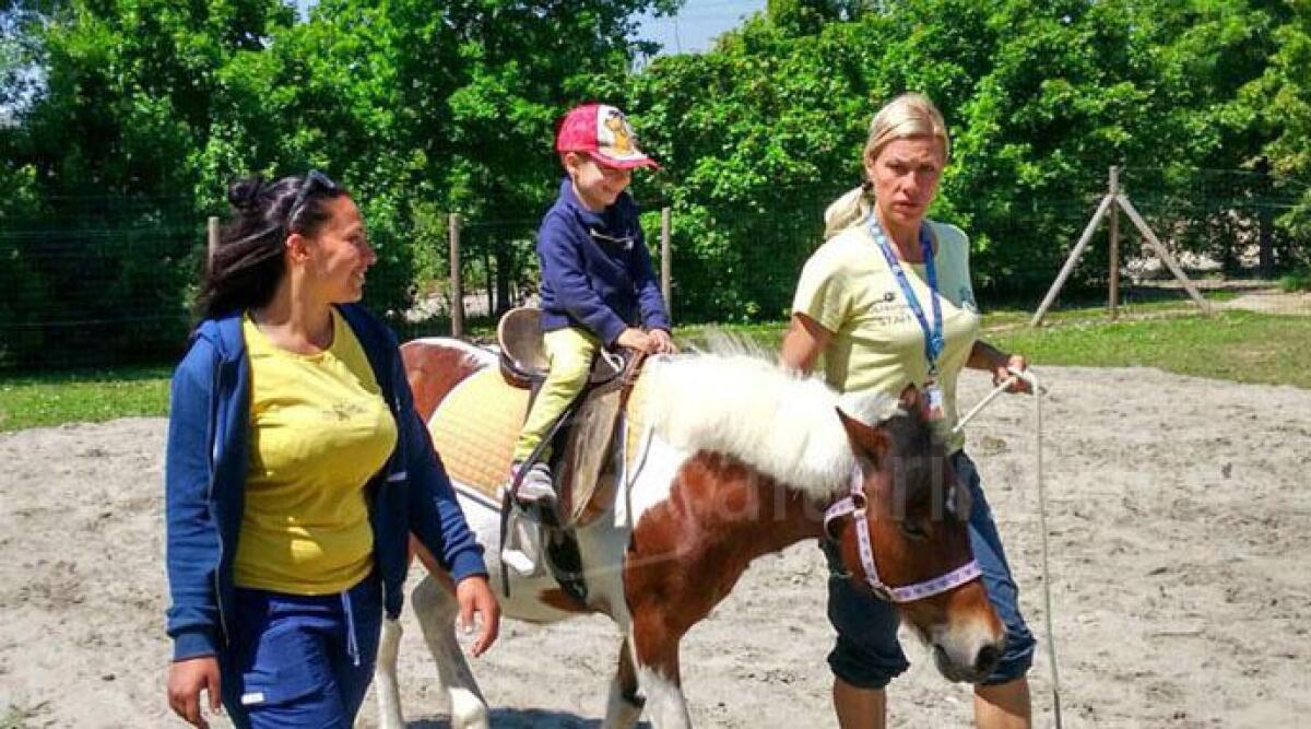 Alla fattoria del parco Oltremare di Riccione la possibilità di incontrare tutti gli animali dell'aia -