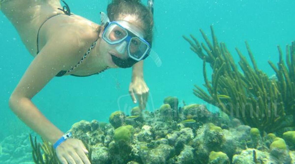 Conoscere e scoprire le bellezze sommerse del mare di Rimini, emozioni con lo 'snorkeling' - 