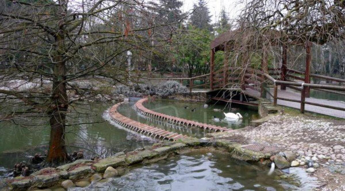 Riccione: al lago Parco della Resistenza, nuovo habitat naturale dalla prossima settimana - 