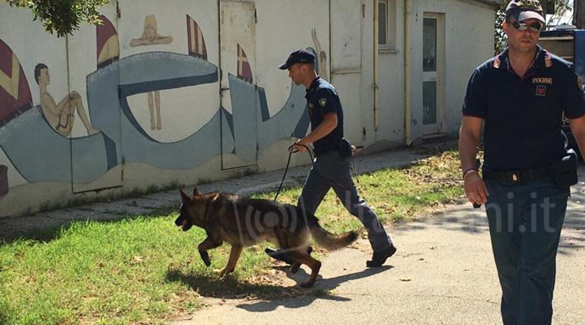 Riccione, spettacolare dimostrazione cani antidroga per i ragazzi del centro estivo -