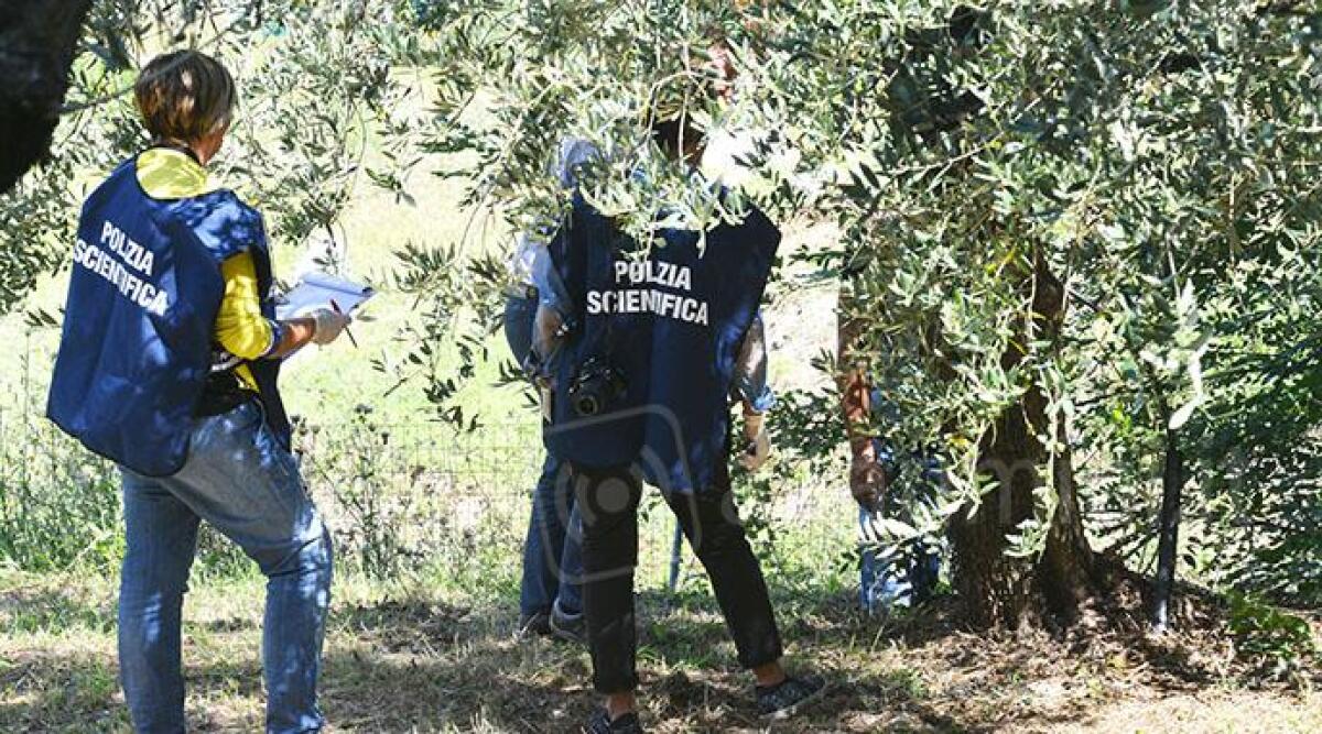 Terribile tragedia a Covignano di Rimini: 39enne riminese noto pr trovato impiccato a un albero - 