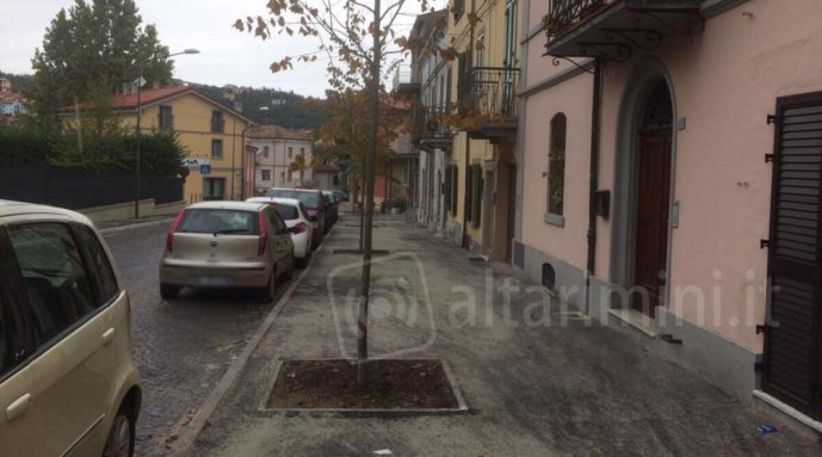 Nel centro storico di Novafeltria tornano i &quot;mitici&quot; tigli di via Garibaldi, lavori per 22.000 euro - 
