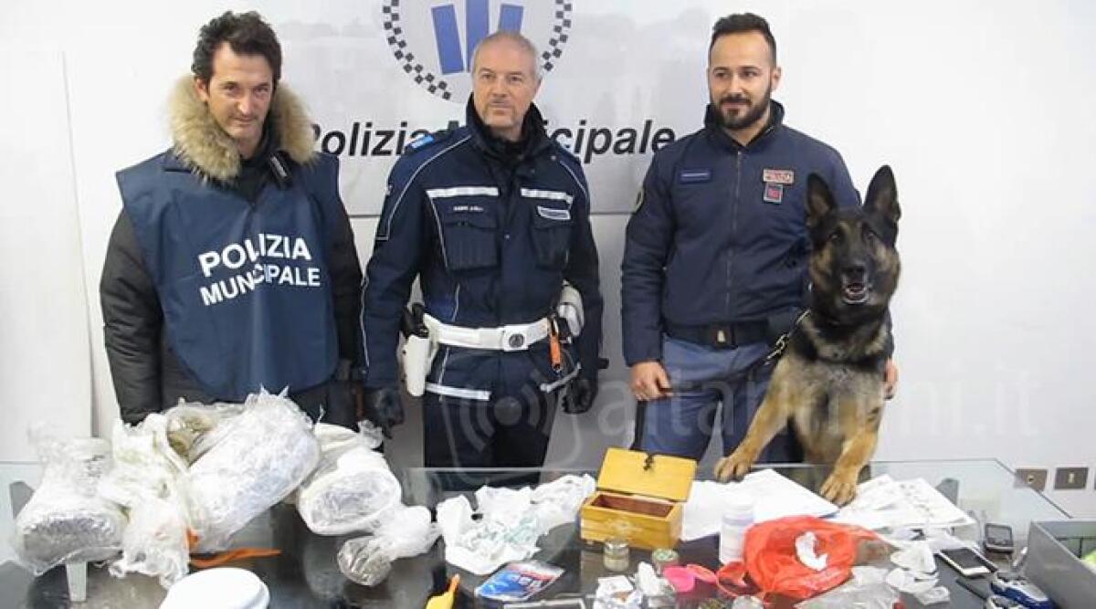 VIDEO: arresti e sequestro di stupefacenti, maxioperazione antidroga della Polizia Municipale di Rimini -