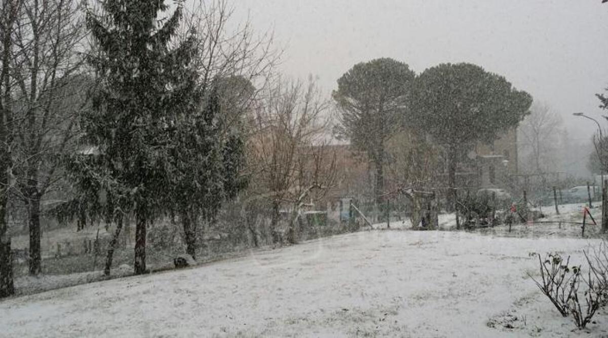 VIDEO/FOTO: la neve torna a imbiancare l'entroterra di Rimini, bianca coltre a Pennabilli e Sant'Agata - Neve in Alta Valmarecchia ARCHIVIO