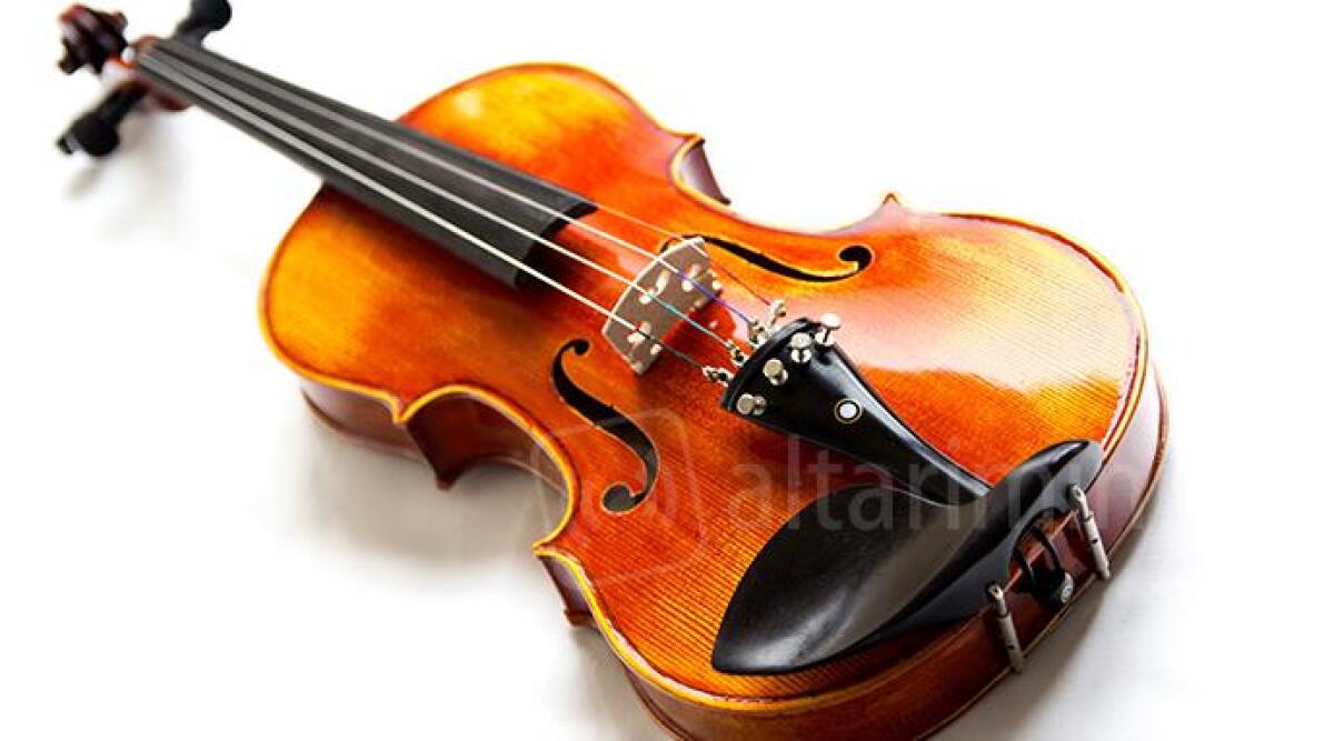 Cercano di vendere rarissimo esemplare di violino rubato a un noto artigiano riminese, due denunciati - 