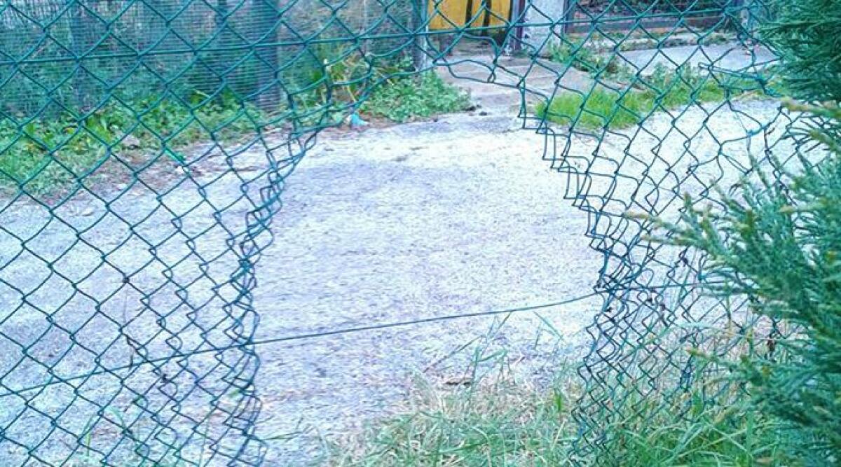 Rimini, ladri scatenati alla Polisportiva Stella ripulita nella notte: rubano anche gli snack. Guarda il VIDEO -
